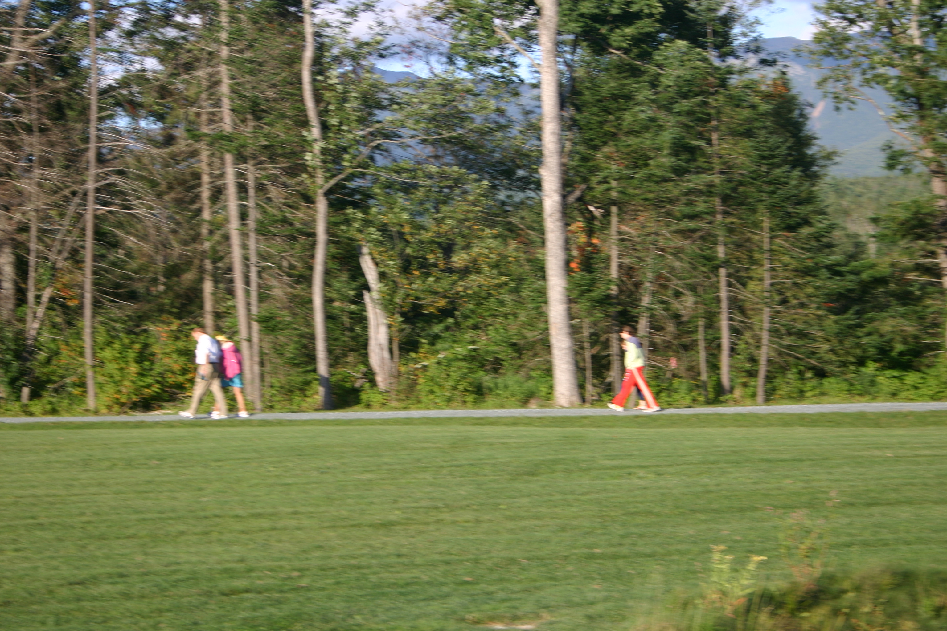 picture 23.
